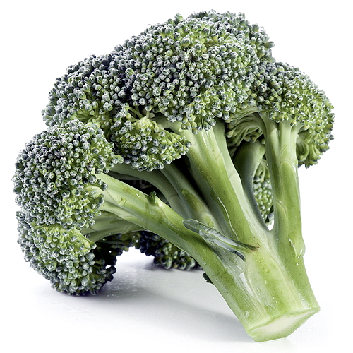 Agrícola Dos Marías