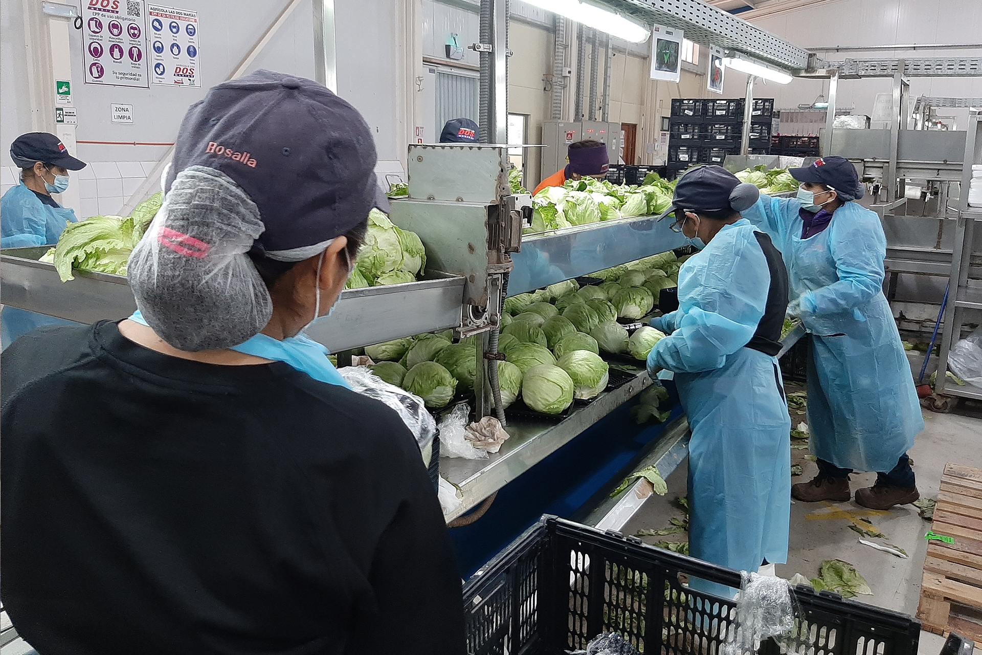 Agrícola Dos Marías