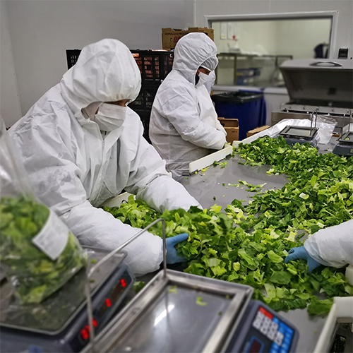 Agrícola Dos Marías