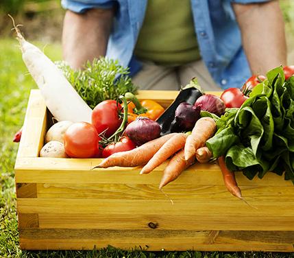 Agrícola Dos Marías